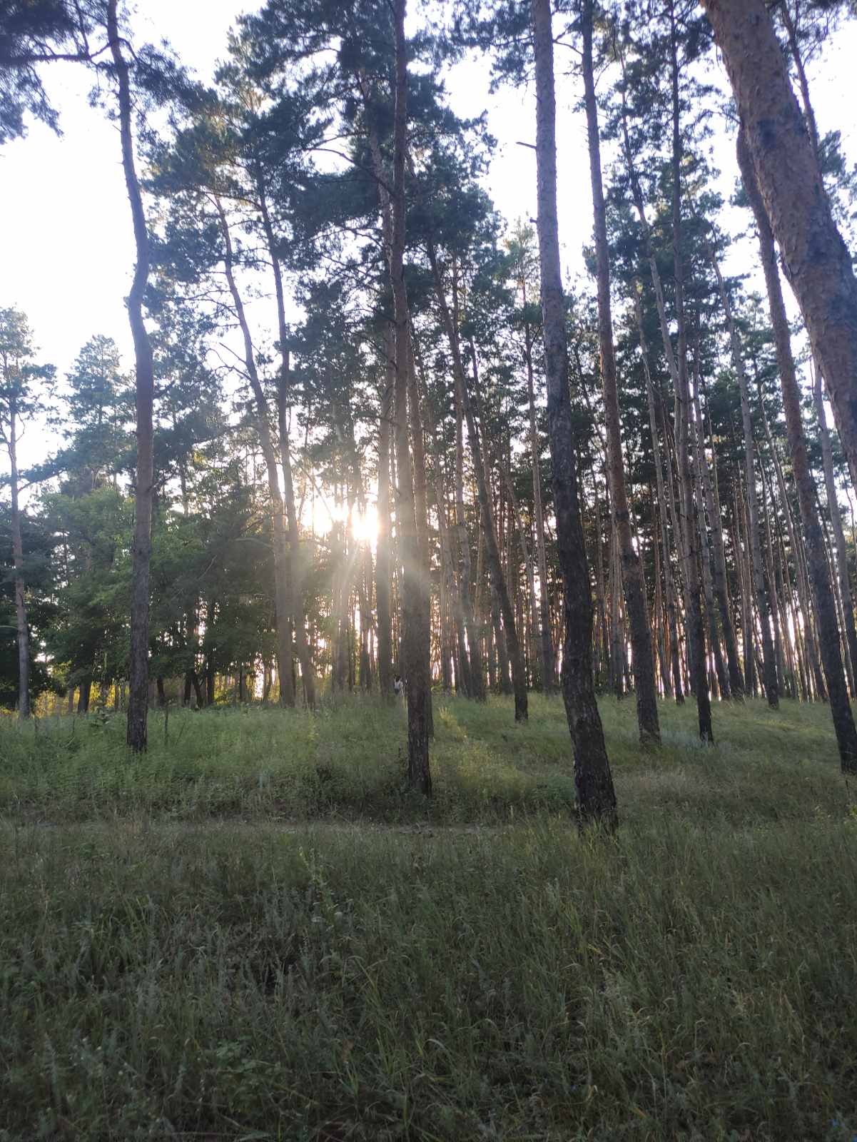 СТ Контракт Дачи участок Харков